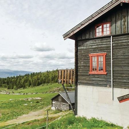 Sulseter Fjellstugu Apartment วินสตรา ภายนอก รูปภาพ