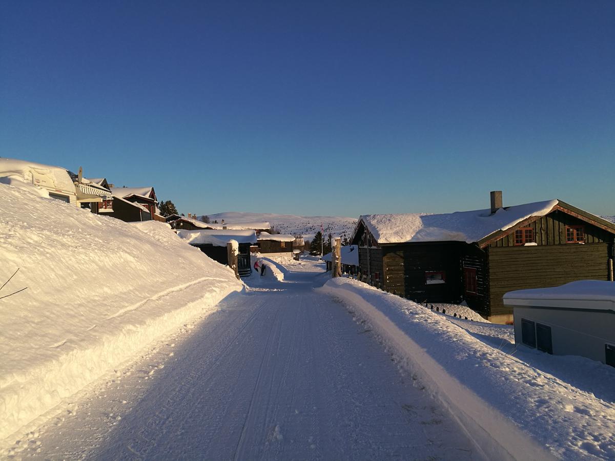 Sulseter Fjellstugu Apartment วินสตรา ภายนอก รูปภาพ