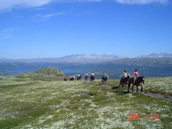 Sulseter Fjellstugu Apartment วินสตรา ภายนอก รูปภาพ